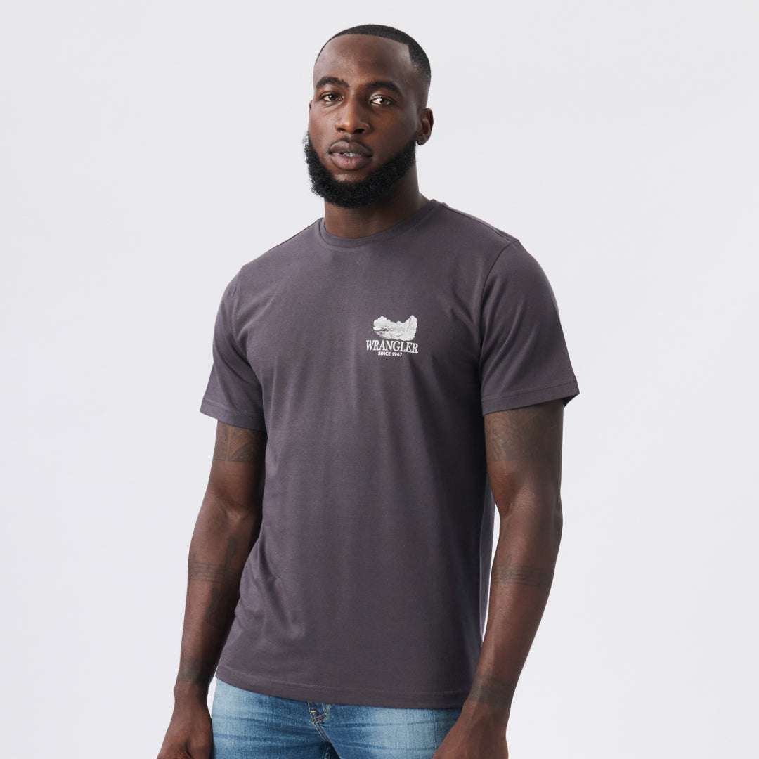 DUSTED T-SHIRT IN FADED BLACK