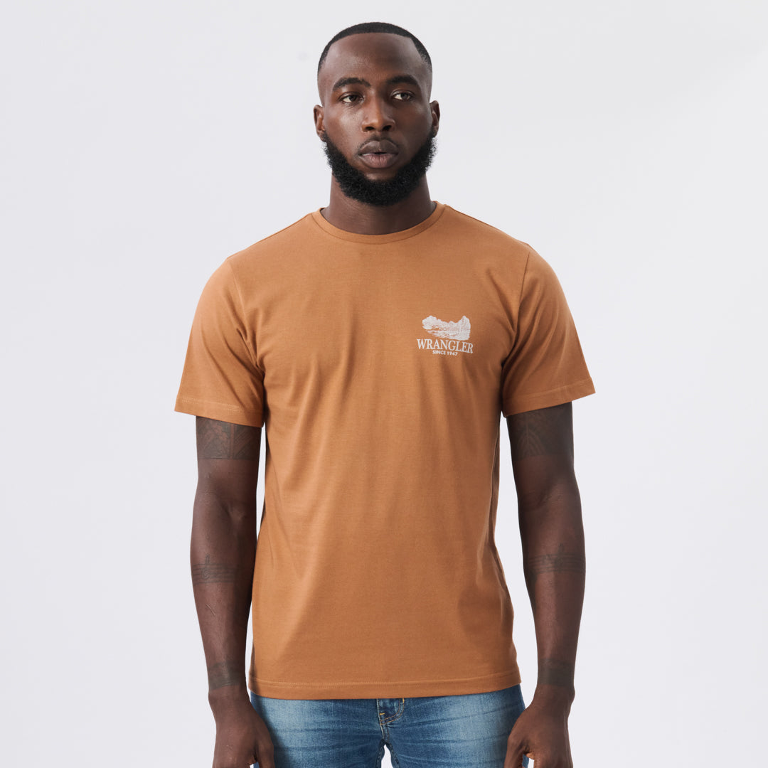 DUSTED T-SHIRT IN UTLITY BROWN