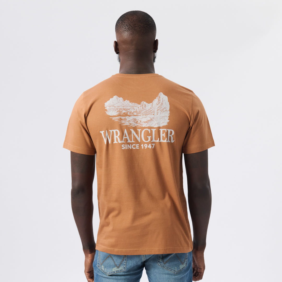 DUSTED T-SHIRT IN UTLITY BROWN